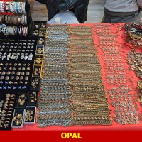 Opal-Iranian-BoxingDay-2025-Richmond-Hill