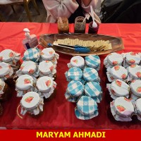 maryam-ahmadi-Iranian-BoxingDay-2025-Richmond-Hill