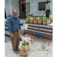 shiraz-15