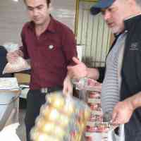 shiraz-16