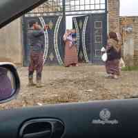 shiraz-18