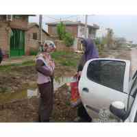 shiraz-33