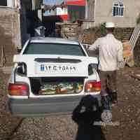 shiraz-39
