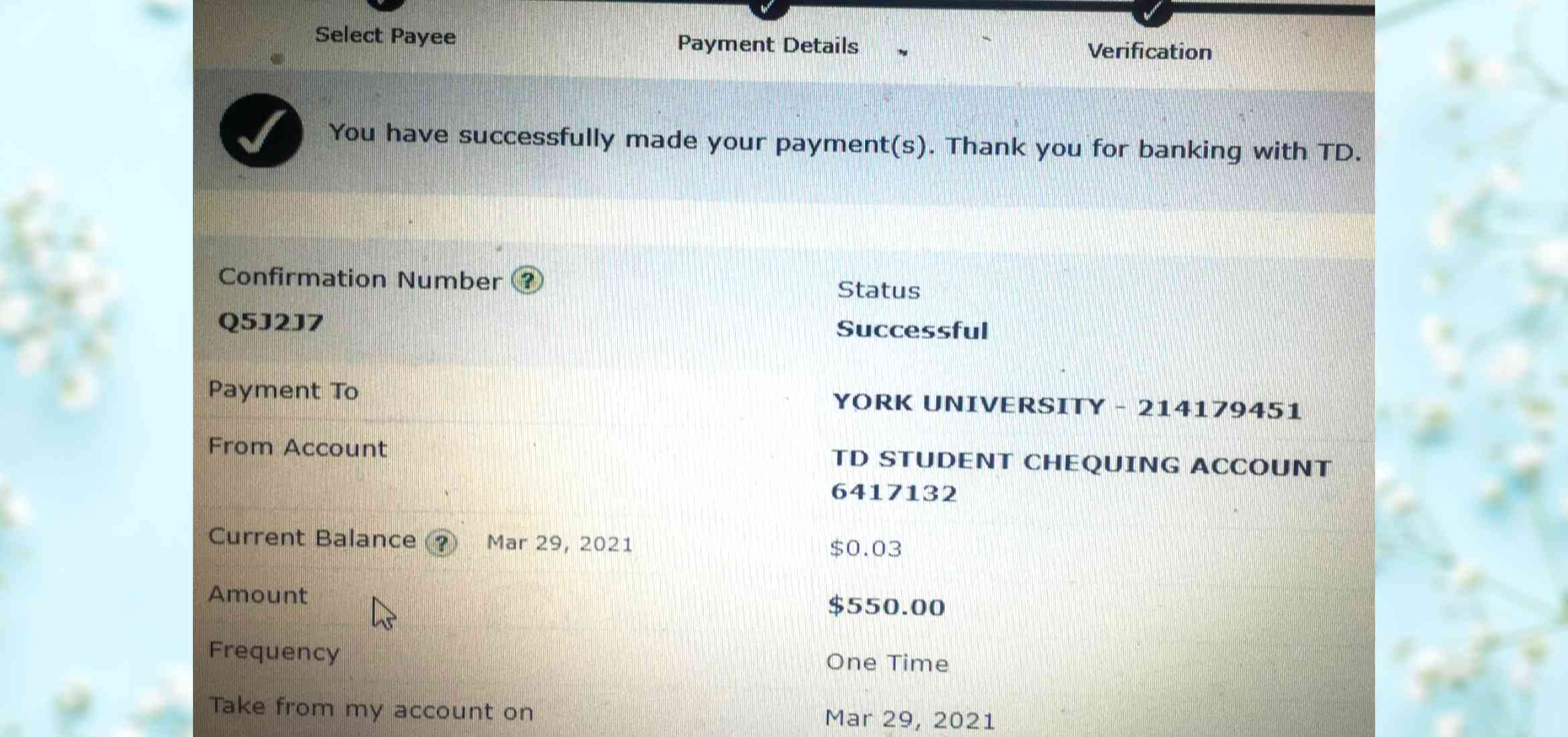 aiding-najmeh-york-university